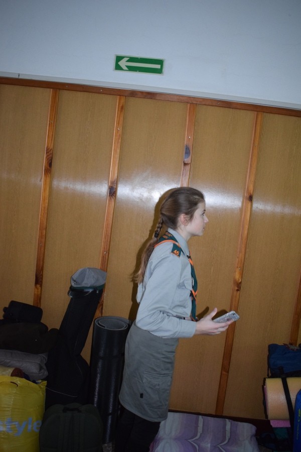 image381